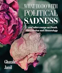 What to do with Political Sadness