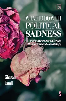 What to do with Political Sadness