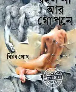 Roilo Naa Aar Gopone