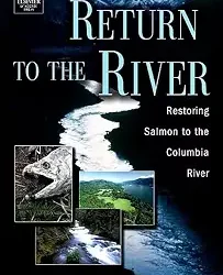 Return To The River