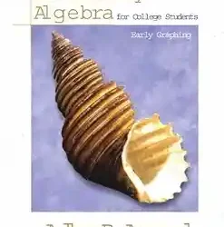 Elementary Algebra For College Students