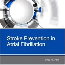 Stroke Prevention In Atrial Fibrillation