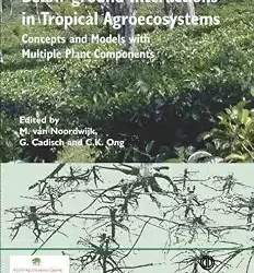 Below Ground Interactions In Tropical