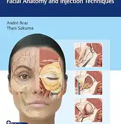 Dermal Fillers Facial Anatomy