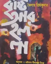Bristi Ar Holo Na