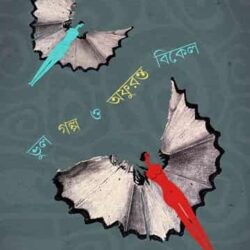 Bhul Golpo O Afuranta Bikel